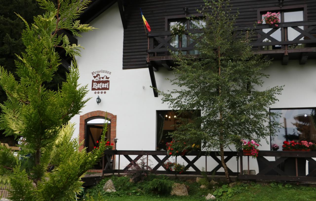 Pensiunea Rafael Păltiniş Exterior foto
