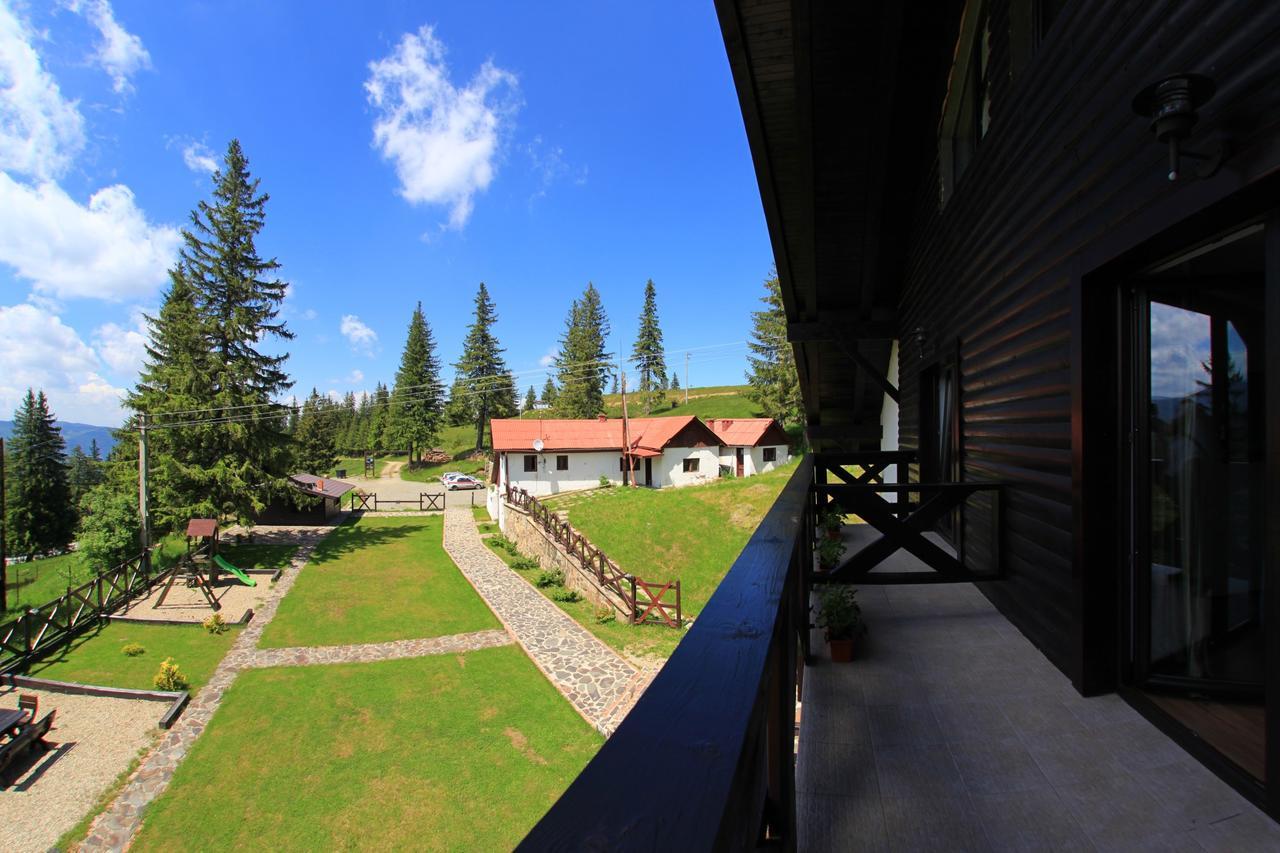 Pensiunea Rafael Păltiniş Exterior foto